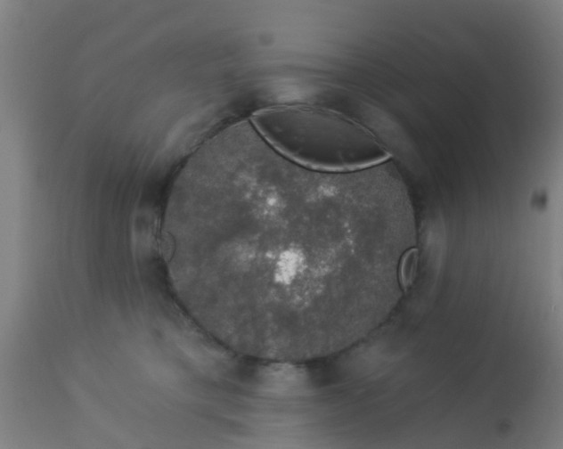 X0000112910421200909071539