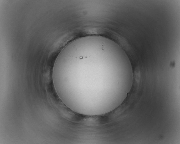 X0000112910422200909071539