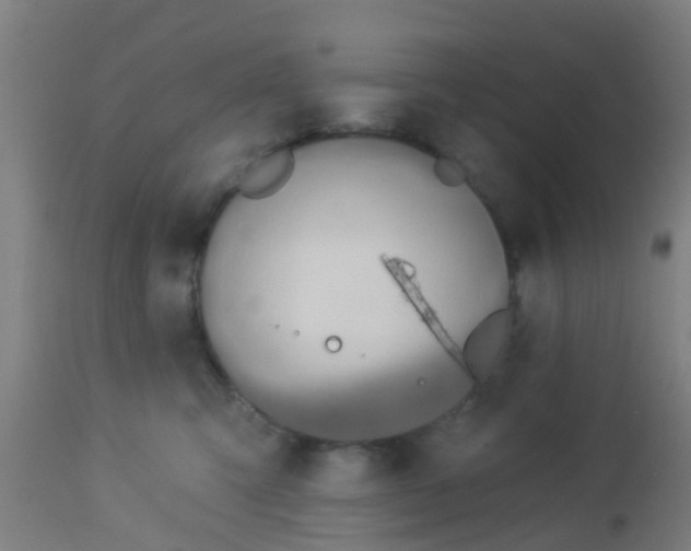 X0000112910423200909071539