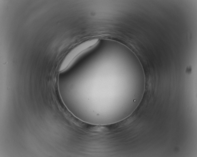 X0000112910427200909071539