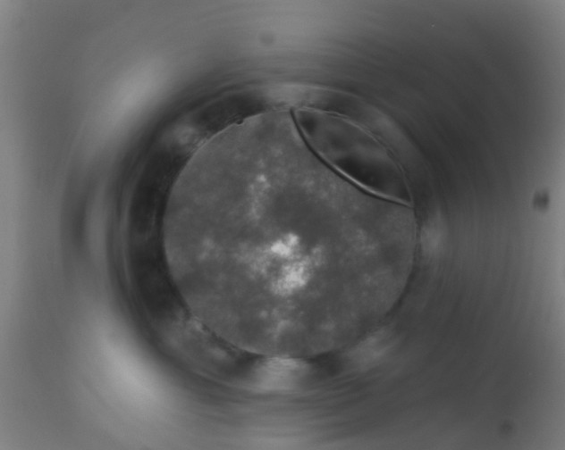 X0000112910429200909071539