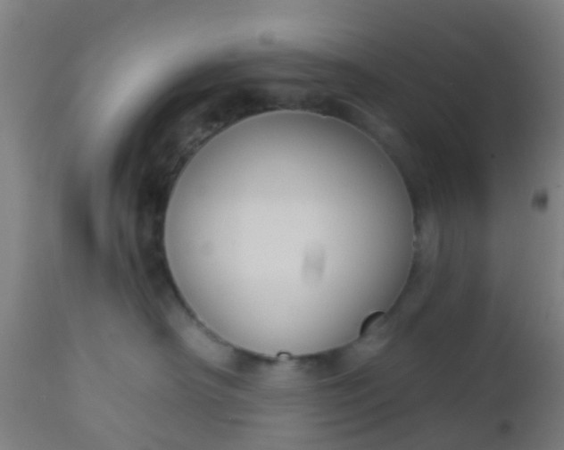 X0000112910430200909071539