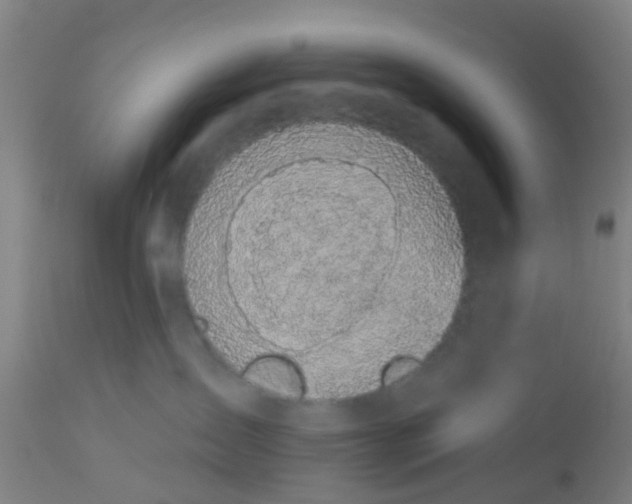 X0000112910431200909071539