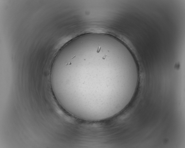 X0000112910433200909071538