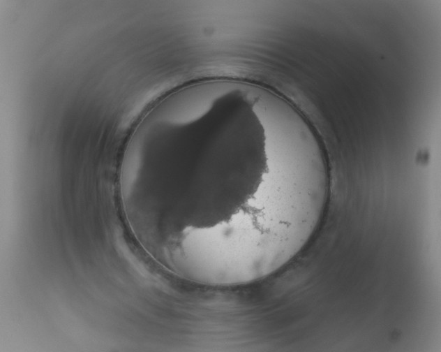 X0000112910434200909071538