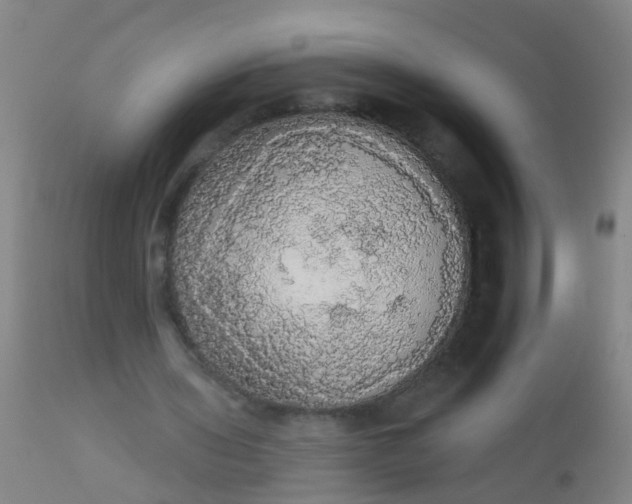 X0000112910435200909071538