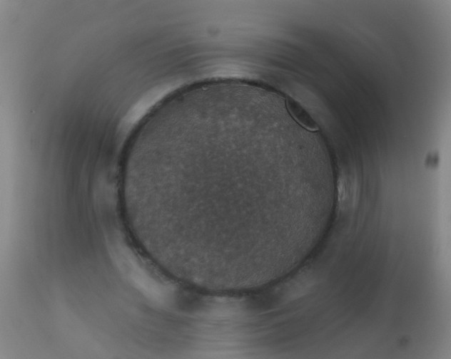 X0000112910436200909071538