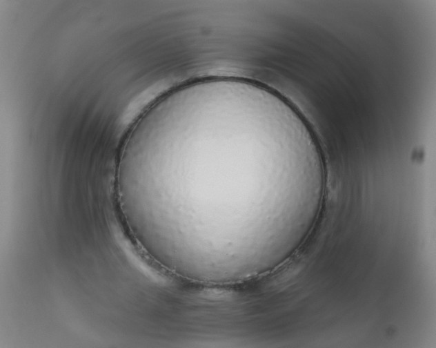 X0000112910437200909071538