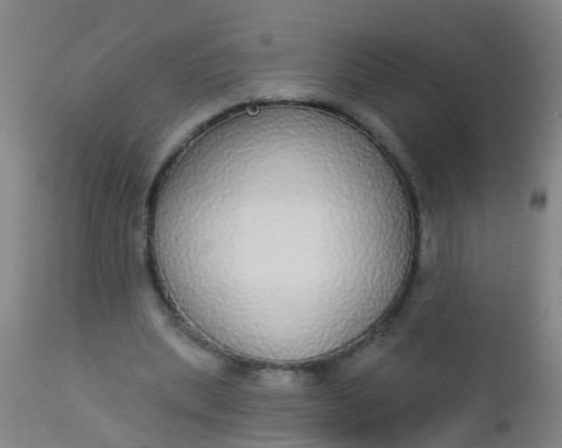 X0000112910439200909071538