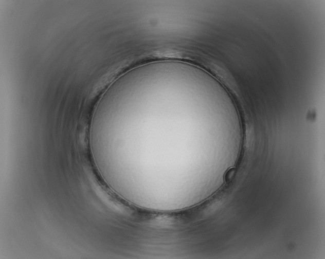 X0000112910441200909071538