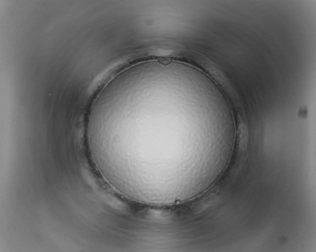 X0000112910442200909071538