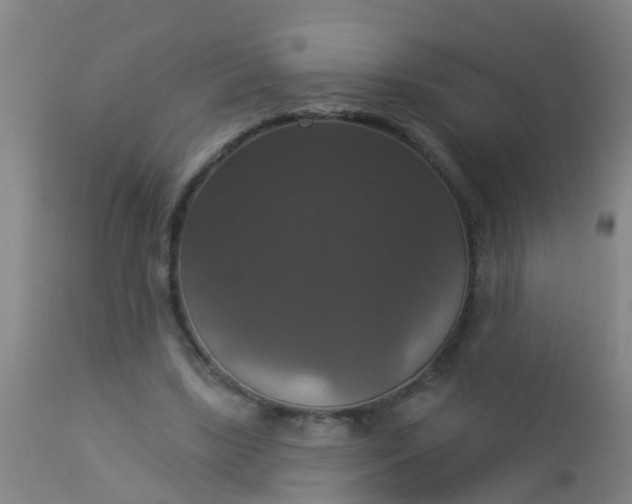 X0000112910443200909071538