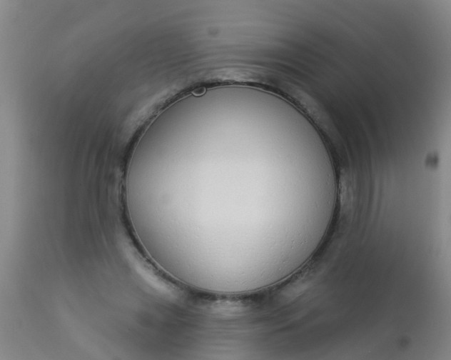 X0000112910445200909071539