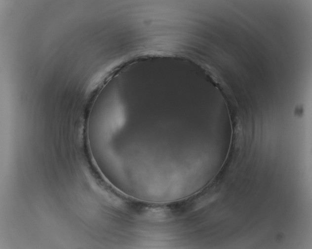 X0000112910446200909071539