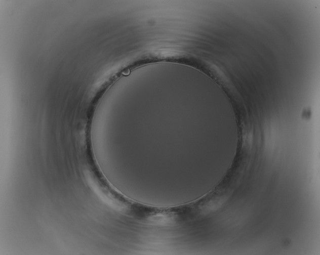 X0000112910447200909071539