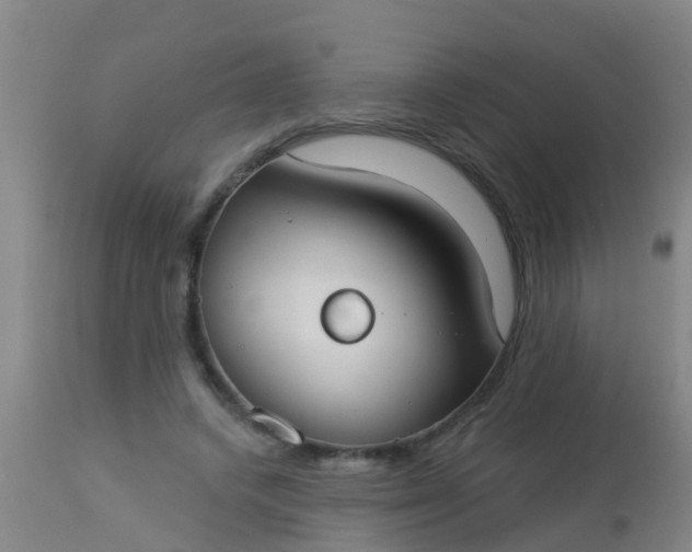 X0000112910448200909071539