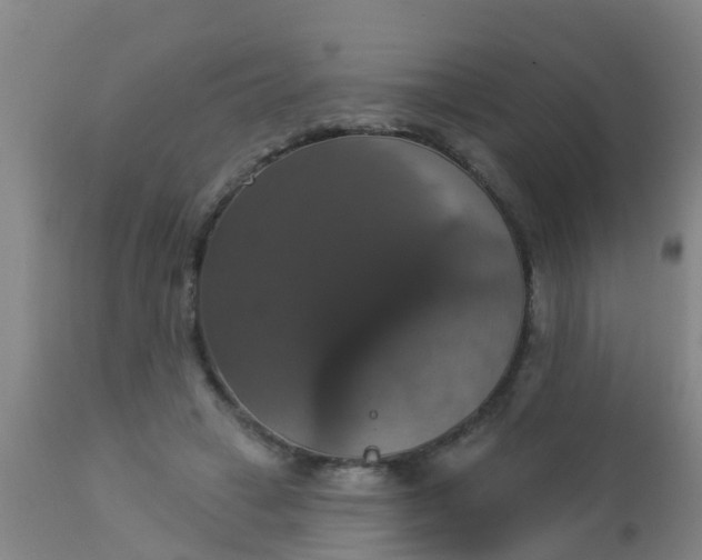 X0000112910449200909071539