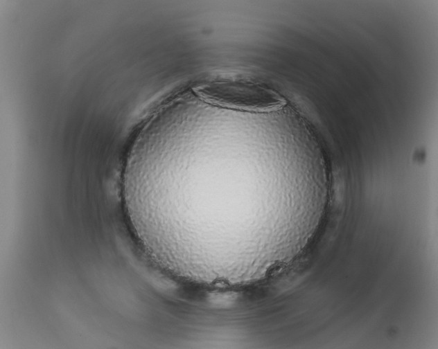 X0000112910450200909071539