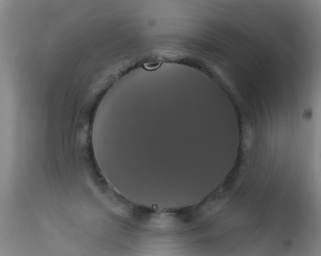 X0000112910451200909071539