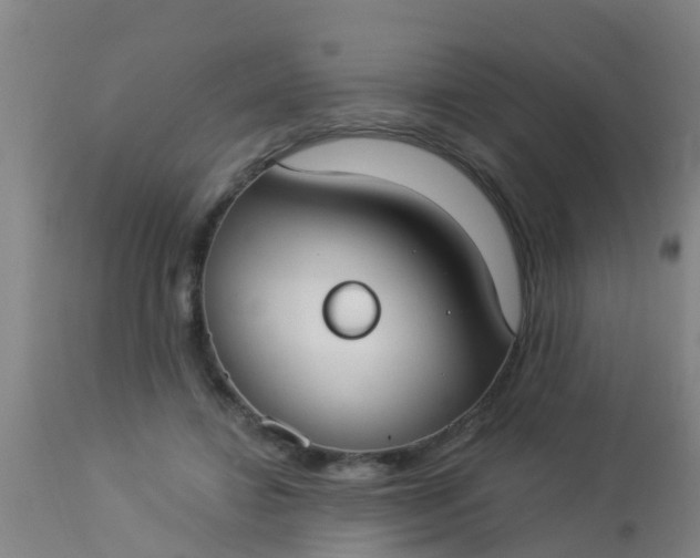 X0000112910452200909071539