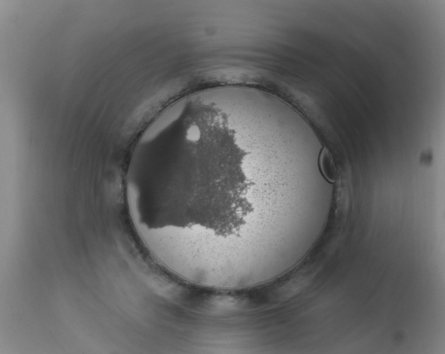 X0000112910453200909071539