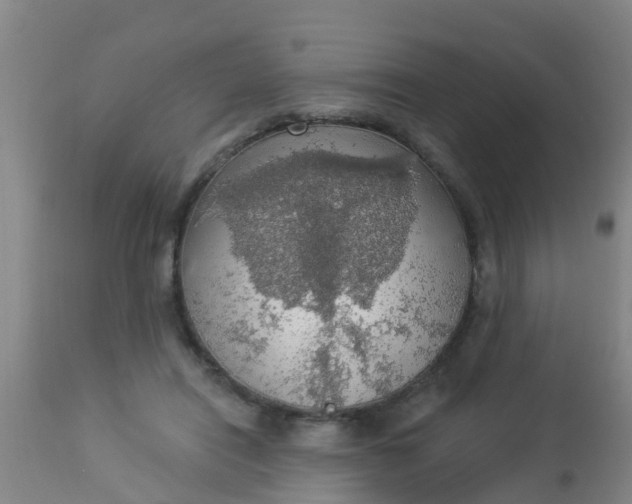 X0000112910454200909071539