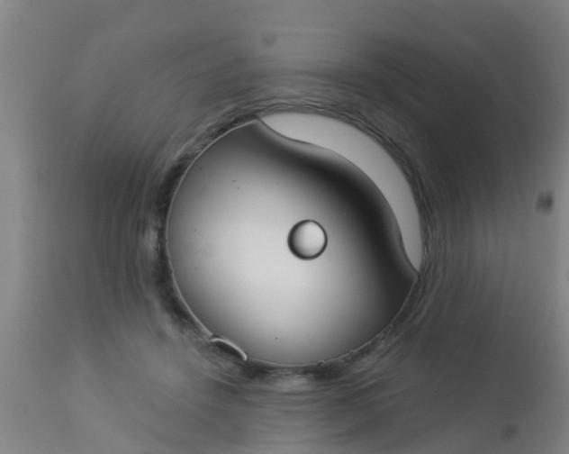 X0000112910456200909071539