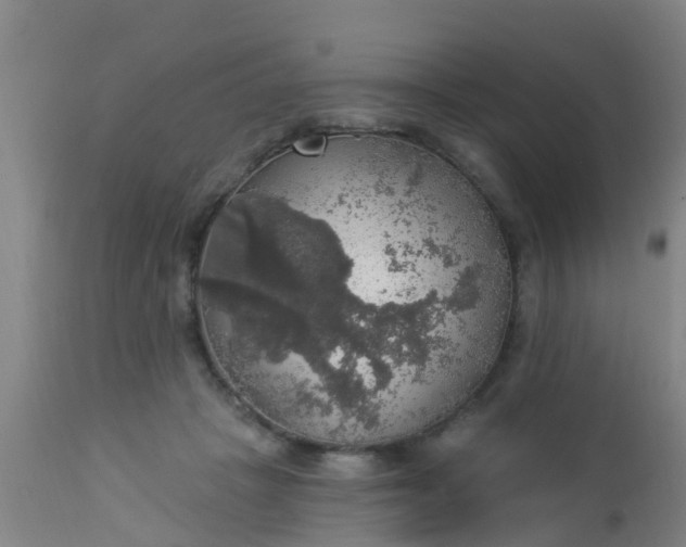 X0000112910457200909071539