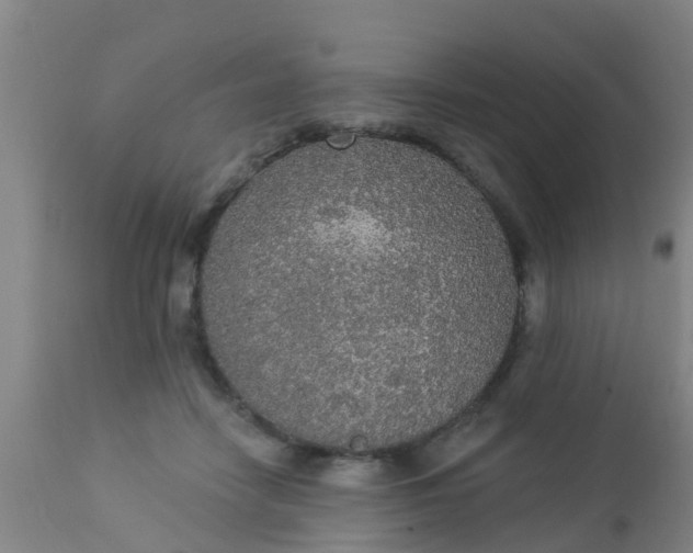 X0000112910458200909071539