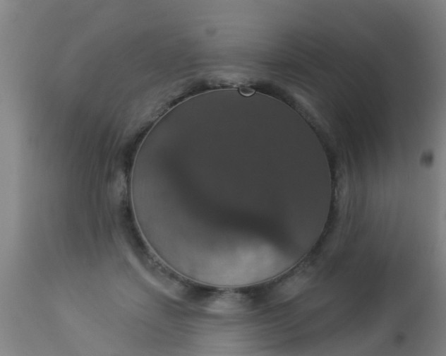 X0000112910459200909071539