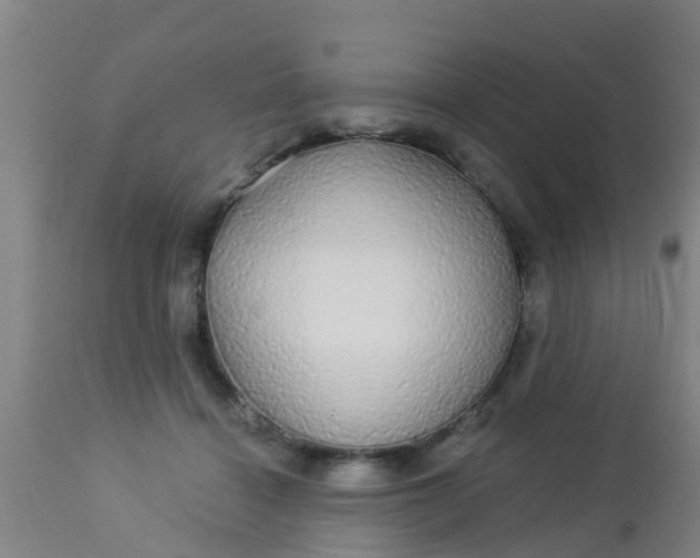 X0000112910460200909071539