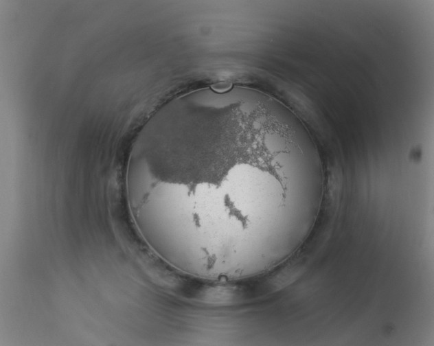 X0000112910461200909071539