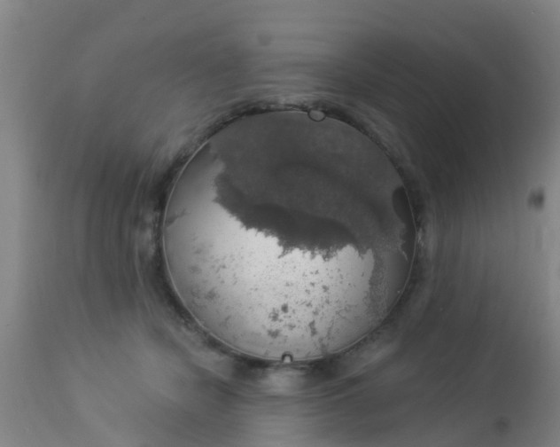 X0000112910462200909071539