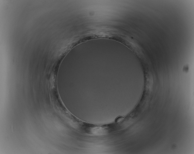 X0000112910465200909071539