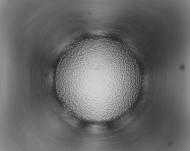 X0000112910466200909071539