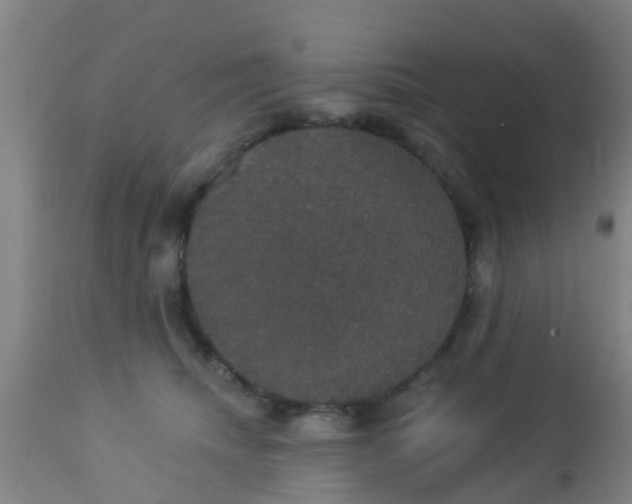 X0000112910468200909071539