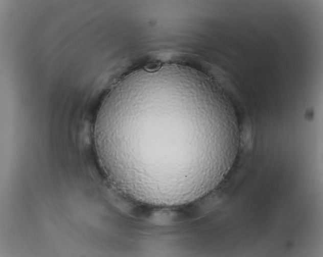 X0000112910470200909071539