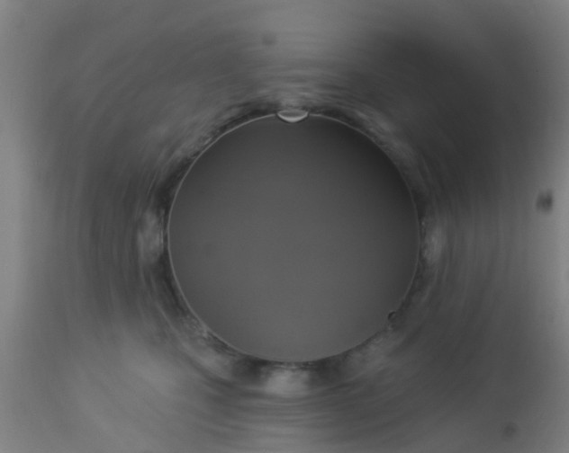 X0000112910471200909071539