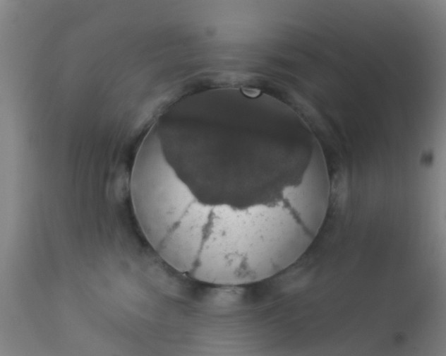 X0000112910474200909071539