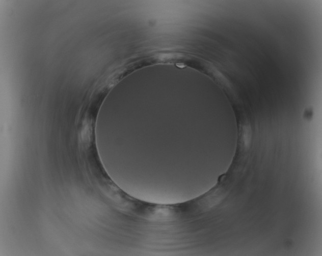 X0000112910475200909071539