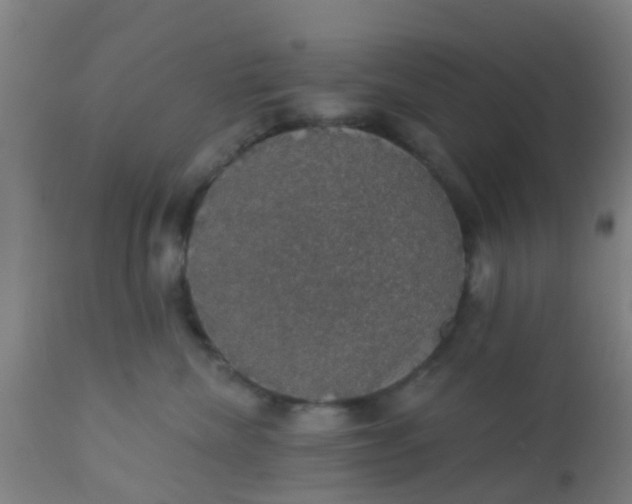 X0000112910476200909071539