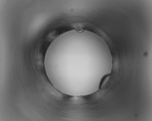 X0000112910477200909071539