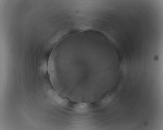 X0000112910479200909071539