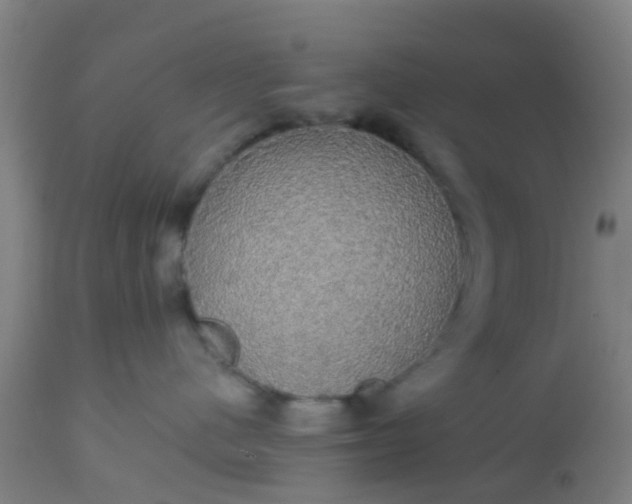 X0000112910480200909071539