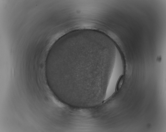 X0000112910481200909071538