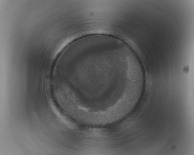 X0000112910482200909071538