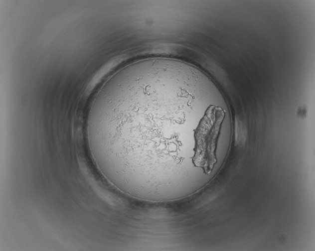 X0000112910483200909071538