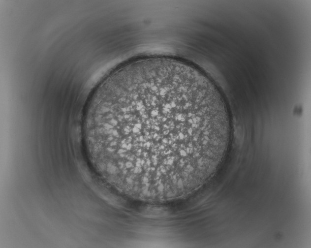 X0000112910487200909071538