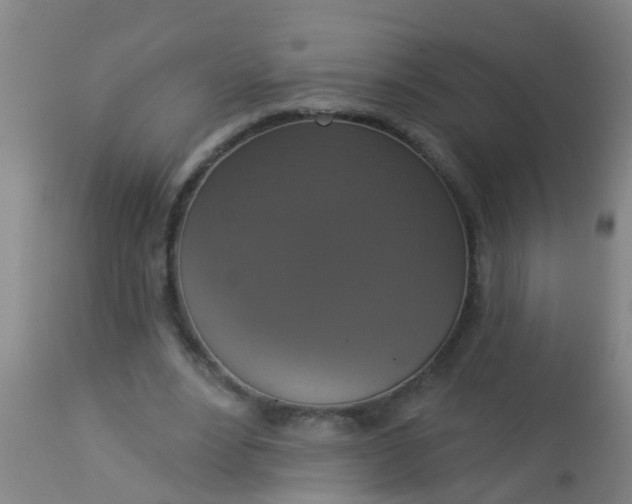 X0000112910488200909071538