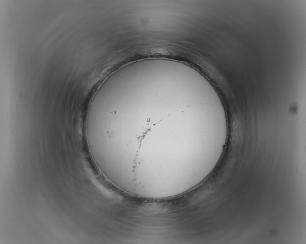 X0000112910489200909071538